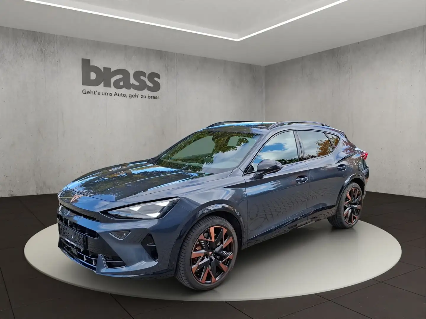 CUPRA Formentor 2.0 TSI VZ Extreme 4Drive 360 Kamera e Grau - 1