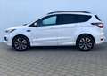 Ford Kuga 2.0 TDCI 4x4 ST line CAM/NAV/HiFi/LHZ Weiß - thumbnail 6