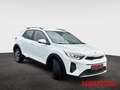Kia Stonic 1.0 T-GDI DCT Vision Navi Apple CarPlay Android Au White - thumbnail 8