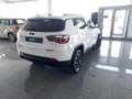 Jeep Compass Compass 2.0 Multijet II 170 CV aut. 4WD Limited Blanc - thumbnail 5