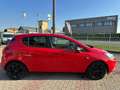 Opel Corsa 5p 1.4 b-Color Gpl 90cv Rouge - thumbnail 7