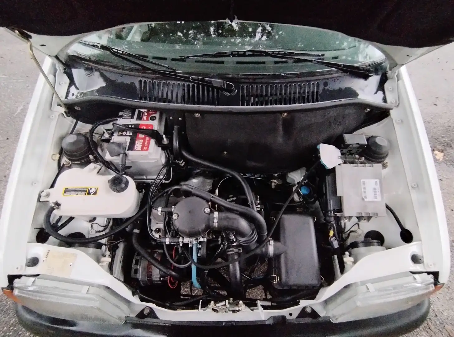 Fiat Cinquecento Cinquecento 903 cat. Wit - 1