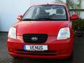 Kia Picanto 1.1 LX Rot - thumbnail 10