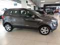 Ford EcoSport 1.5 Ecoblue 100 CV Start&Stop Plus Grey - thumbnail 3