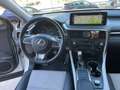 Lexus RX 450h RX 350 Gasolina Executive Line Білий - thumbnail 5