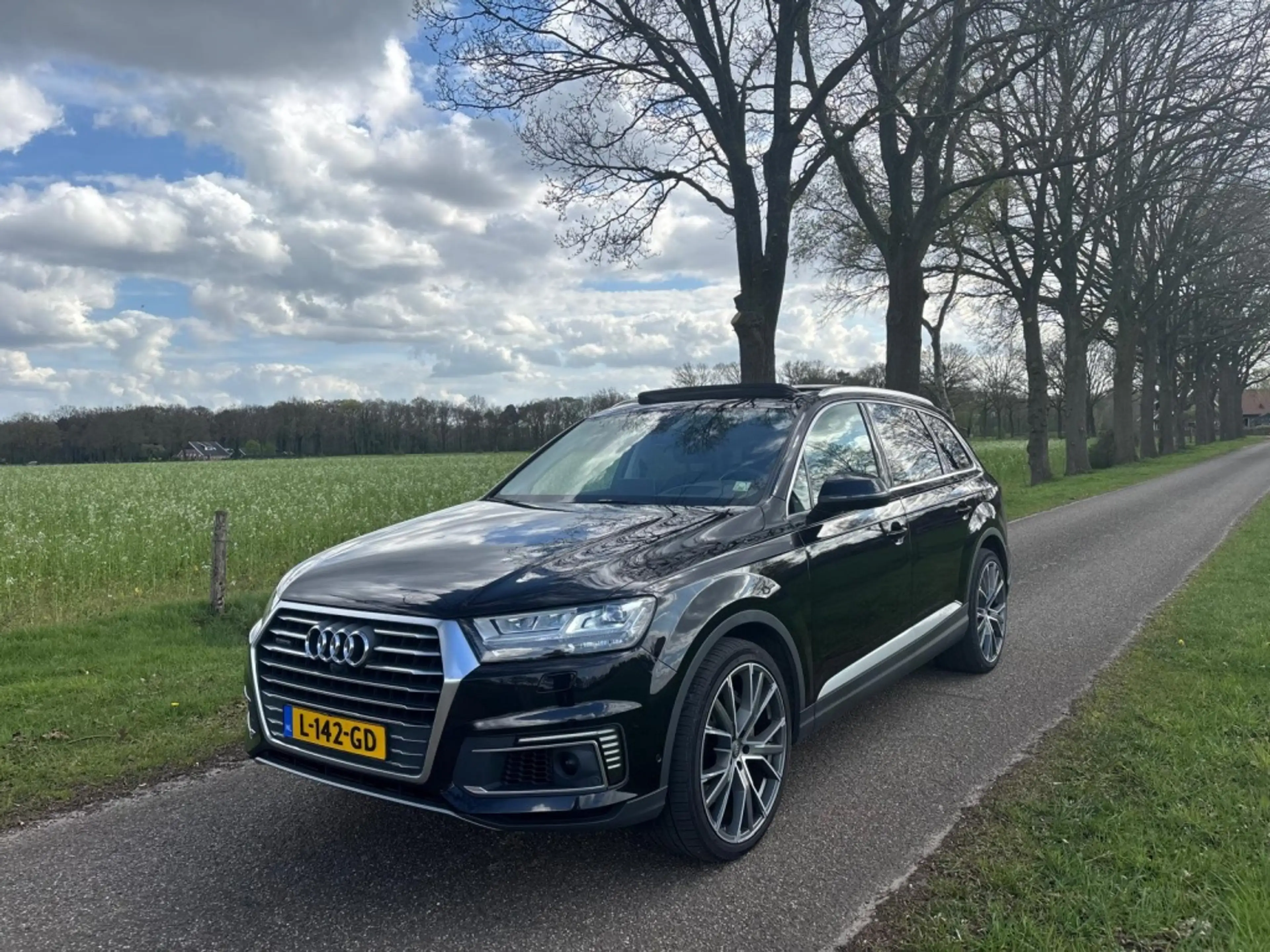 Audi Q7 e-tron 3.0 TDI quattro | Pano | Luchtvering | Trekhaak | — photo 3