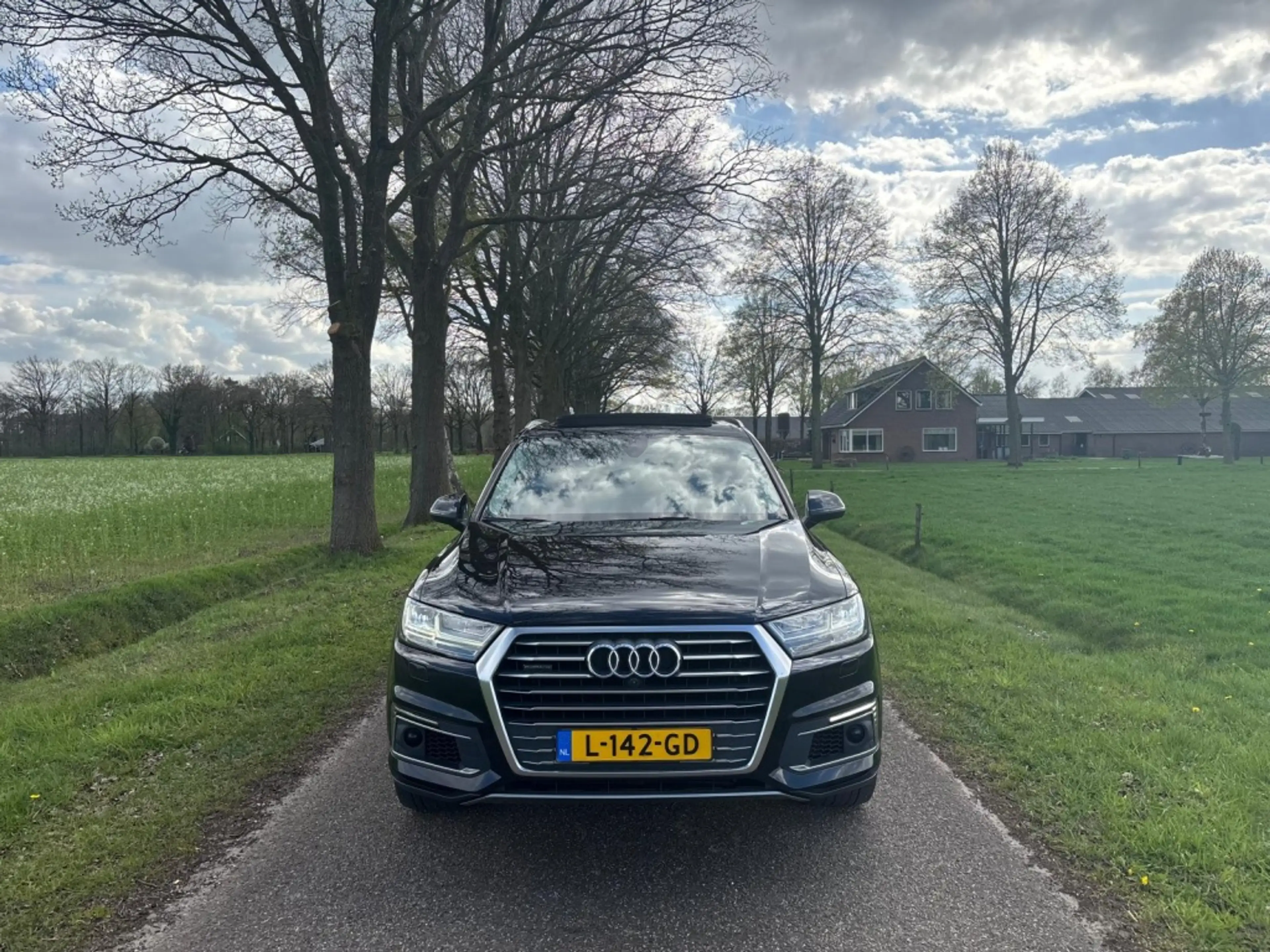 Audi Q7 e-tron 3.0 TDI quattro | Pano | Luchtvering | Trekhaak | — photo 2