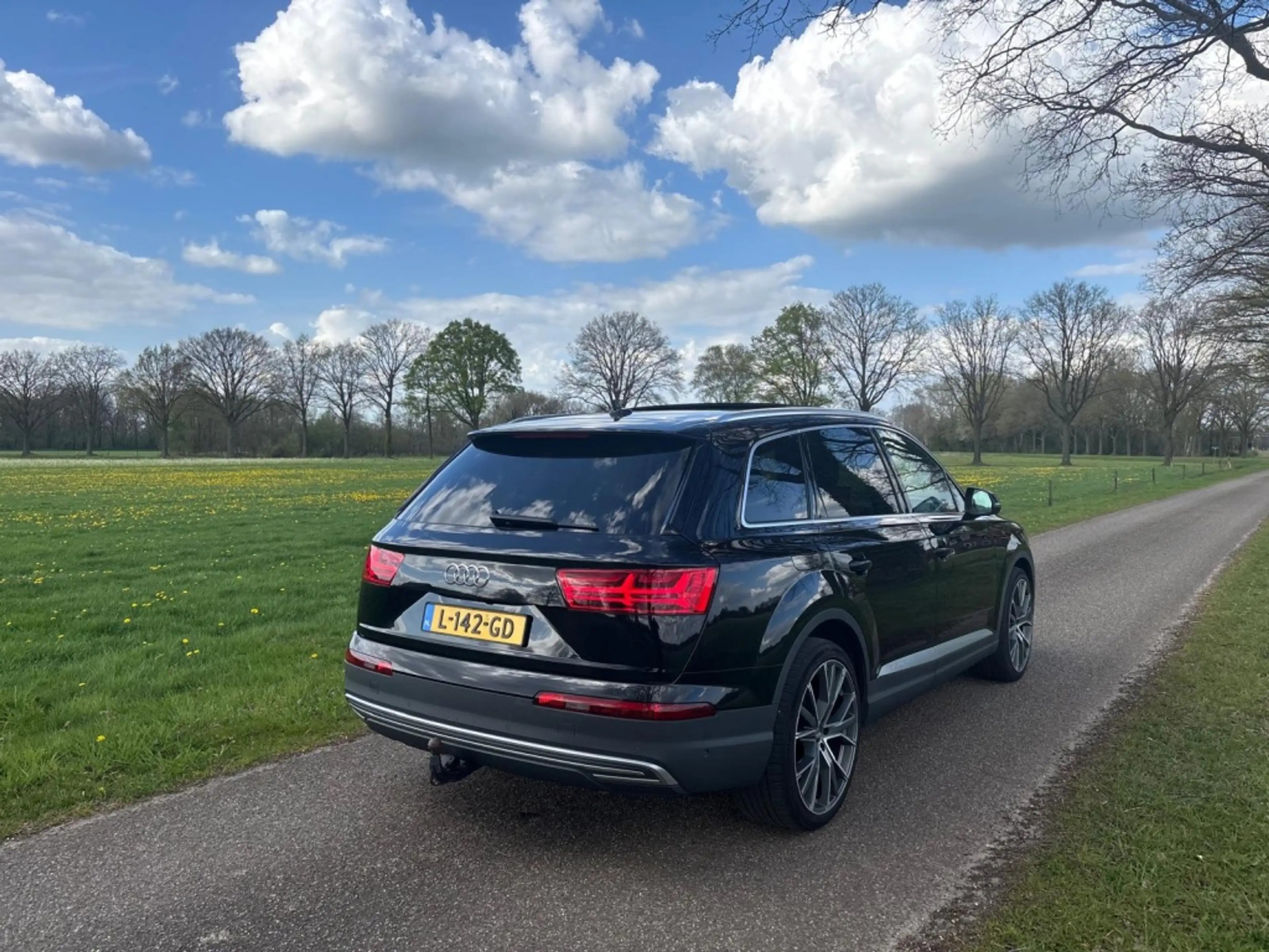 Audi Q7 e-tron 3.0 TDI quattro | Pano | Luchtvering | Trekhaak | — photo 8