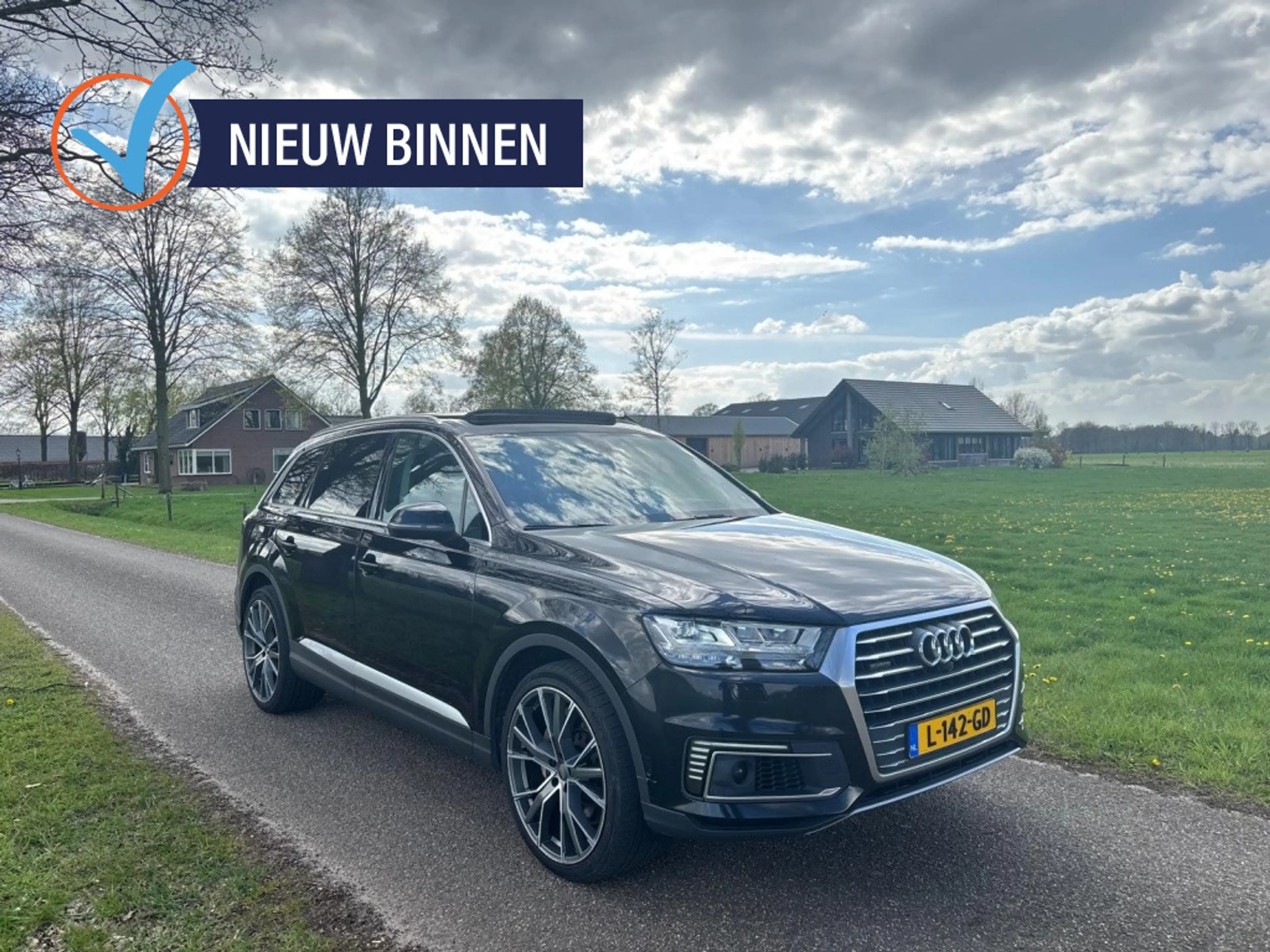 Audi Q7 e-tron 3.0 TDI quattro | Pano | Luchtvering | Trekhaak |