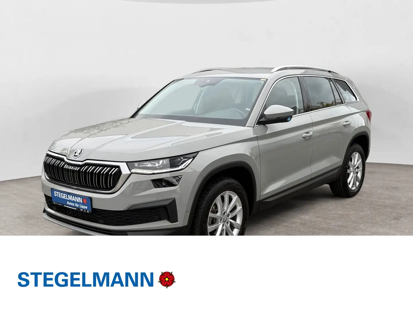 Skoda Kodiaq 2.0 TDI DSG Style *Matrix-LED*AHK*Navi* Grijs - 1