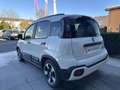 Fiat Panda Panda 1.0 FireFly S&S Hybrid Pandina *PROMO AZZUR Bianco - thumbnail 6