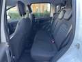 Fiat Panda Panda 1.0 FireFly S&S Hybrid Pandina *PROMO AZZUR Bianco - thumbnail 14