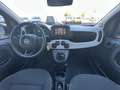 Fiat Panda Panda 1.0 FireFly S&S Hybrid Pandina *PROMO AZZUR Bianco - thumbnail 9