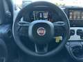 Fiat Panda Panda 1.0 FireFly S&S Hybrid Pandina *PROMO AZZUR Bianco - thumbnail 10