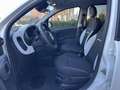 Fiat Panda Panda 1.0 FireFly S&S Hybrid Pandina *PROMO AZZUR Bianco - thumbnail 8
