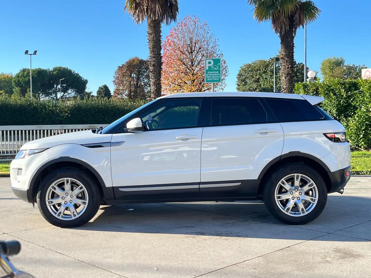 Land Rover Range Rover Evoque 5p 2.2 td4 Launch edition 150cv Bianco - 2