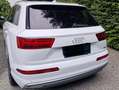 Audi Q7 e-tron Weiß - thumbnail 7