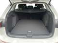 Volkswagen Golf Variant Business TDI Weiß - thumbnail 19