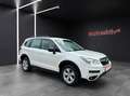 Subaru Forester Active AWD 4x4/Sitzhzg/BluetoothAUX/SUV Alb - thumbnail 5