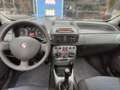 Fiat Punto 5p 1.3 mjt 16v Classic Dynamic Braun - thumbnail 15