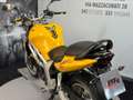 Suzuki SV 650 Giallo - thumbnail 11