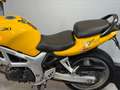 Suzuki SV 650 Giallo - thumbnail 9