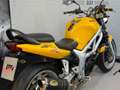 Suzuki SV 650 Giallo - thumbnail 12