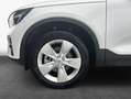 Volvo XC40 XC40 B3 B DKG Core Weiß - thumbnail 6
