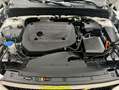 Volvo XC40 XC40 B3 B DKG Core Weiß - thumbnail 8