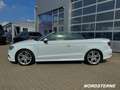 Audi A3 A3 Cabrio 2.0 TDI S-LINE+SPORTPAKET+BANG&OULFSEN Weiß - thumbnail 3