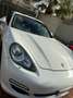 Porsche Panamera 3.0 tiptronic full, tetto Bianco - thumbnail 2