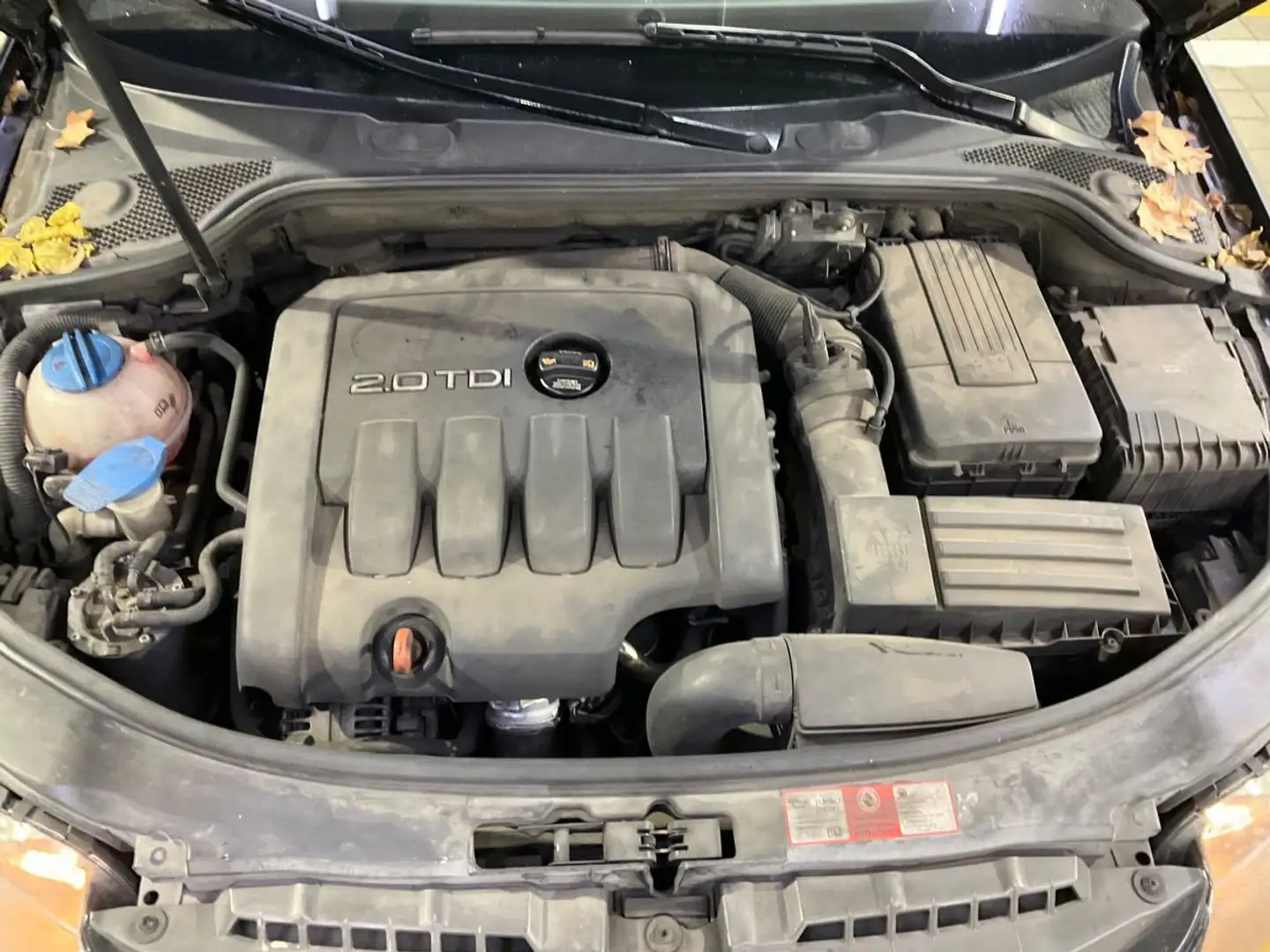 Audi A3 A3 1.9TDI Ambition Ambition Negro - 2