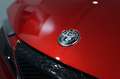 Alfa Romeo Junior Ibrida Q4 1.2 e-DCT6 Mild Hybrid Q4 Rouge - thumbnail 30