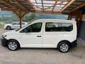 Volkswagen Caddy Kombi AHV APP MULTI NEBLER TÜREN Blanc - thumbnail 8