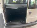 Volkswagen Caddy Kombi AHV APP MULTI NEBLER TÜREN Blanc - thumbnail 17
