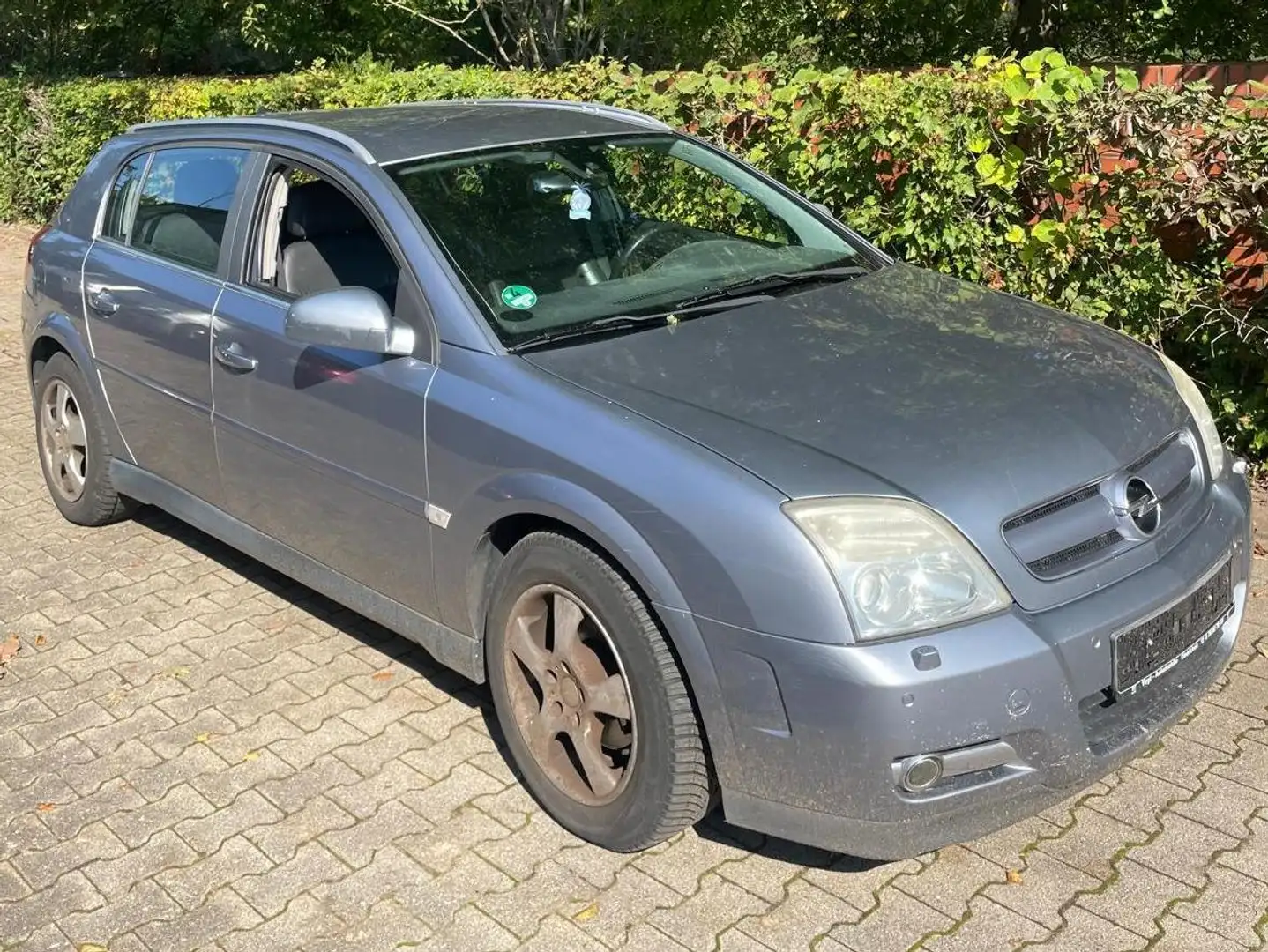 Opel Signum Cosmo Gris - 1