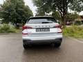 Skoda Kamiq 1.0 TSI Selection / LED / Kamera / 17"Zoll Argento - thumbnail 4