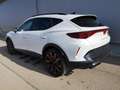 CUPRA Formentor 2.0TSI DSG 4Drive AHK Pano Navi 360 Weiß - thumbnail 2