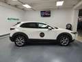 Mazda CX-30 2.0 m-hybrid Exceed awd 186cv 6at Biały - thumbnail 5