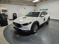 Mazda CX-30 2.0 m-hybrid Exceed awd 186cv 6at Biały - thumbnail 1