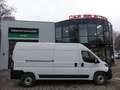 Fiat Ducato Maxi Kasten 35 L4H2 CSA/KÜHLFAHRZEUG/PHARMA Weiß - thumbnail 22