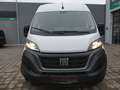 Fiat Ducato Maxi Kasten 35 L4H2 CSA/KÜHLFAHRZEUG/PHARMA Weiß - thumbnail 23