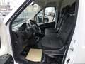 Fiat Ducato Maxi Kasten 35 L4H2 CSA/KÜHLFAHRZEUG/PHARMA Weiß - thumbnail 5