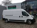 Fiat Ducato Maxi Kasten 35 L4H2 CSA/KÜHLFAHRZEUG/PHARMA Weiß - thumbnail 1