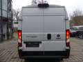 Fiat Ducato Maxi Kasten 35 L4H2 CSA/KÜHLFAHRZEUG/PHARMA Weiß - thumbnail 24