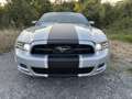 Ford Mustang Ford Mustang 3.7 V6 Convertible Silber - thumbnail 3