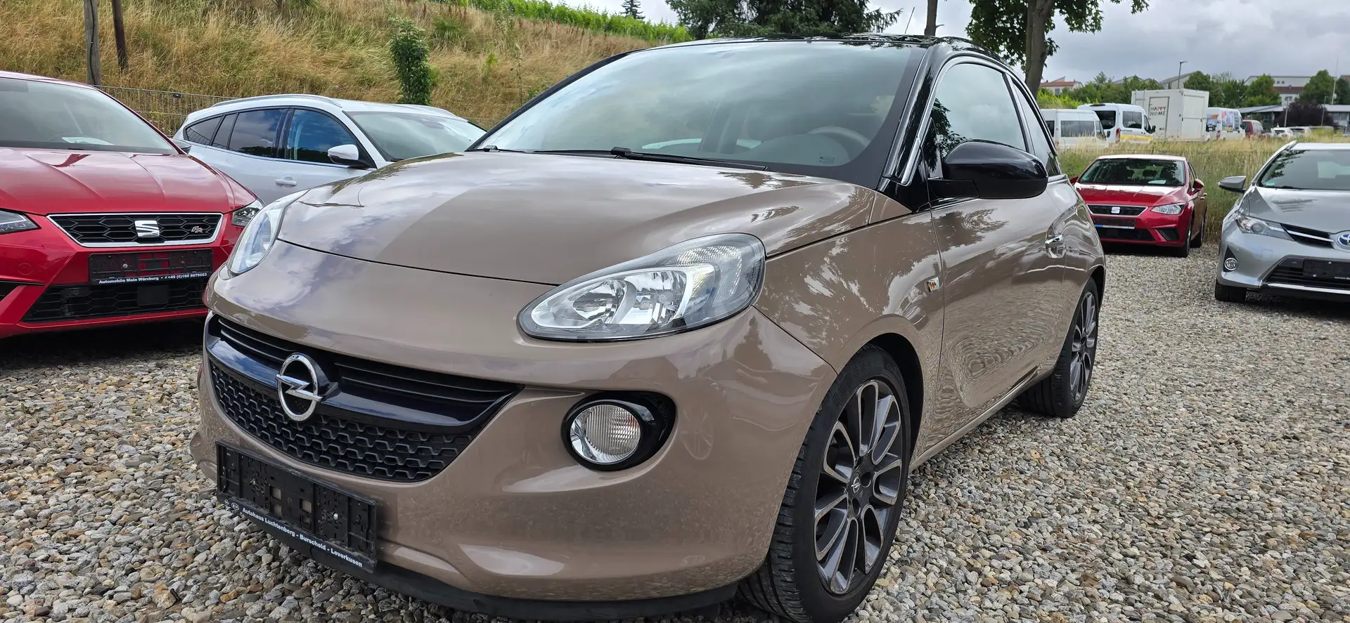 Opel Adam 1,4 Glam*Panorama*MMI*Alu17*Leder*Led* Brun - 1
