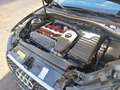 Audi RS3 RS3 SB 2,5 TFSI quattro S-tronic Schwarz - thumbnail 7
