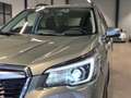 Subaru Forester FORESTER 2.0 ACTIVE TEILLEDER NAVI LED ACC AHK Grün - thumbnail 25