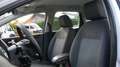 Ford Focus TÜV,- Kundendienst Neu 2. Hand Sitzheiz. Klima Bianco - thumbnail 12